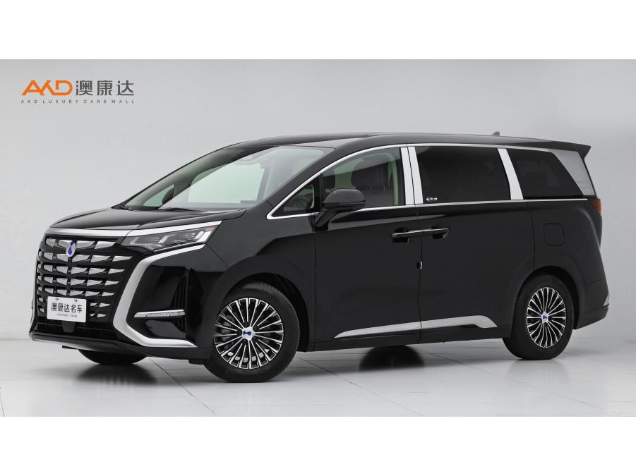 Denza_Motors Denza D9 DM 2024 980 four-wheel drive premium model