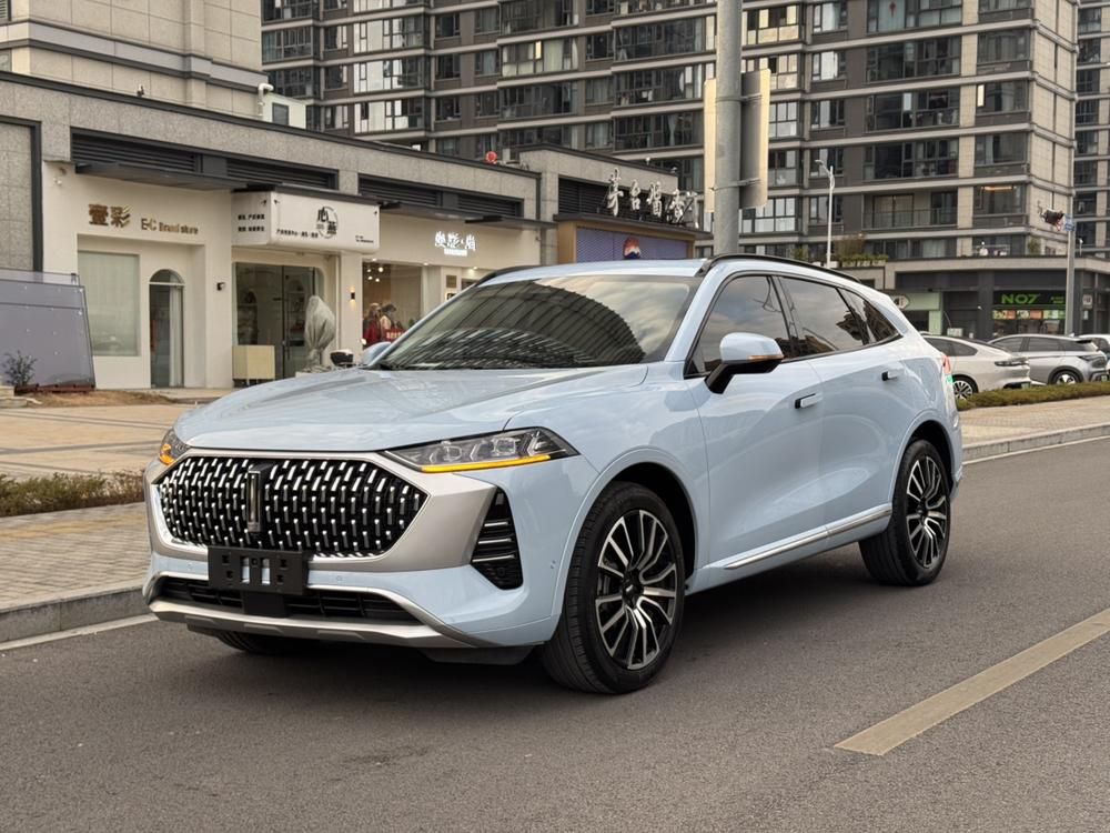 Great_Wall_Motors Mocha 2021 2.0T four-wheel drive special version