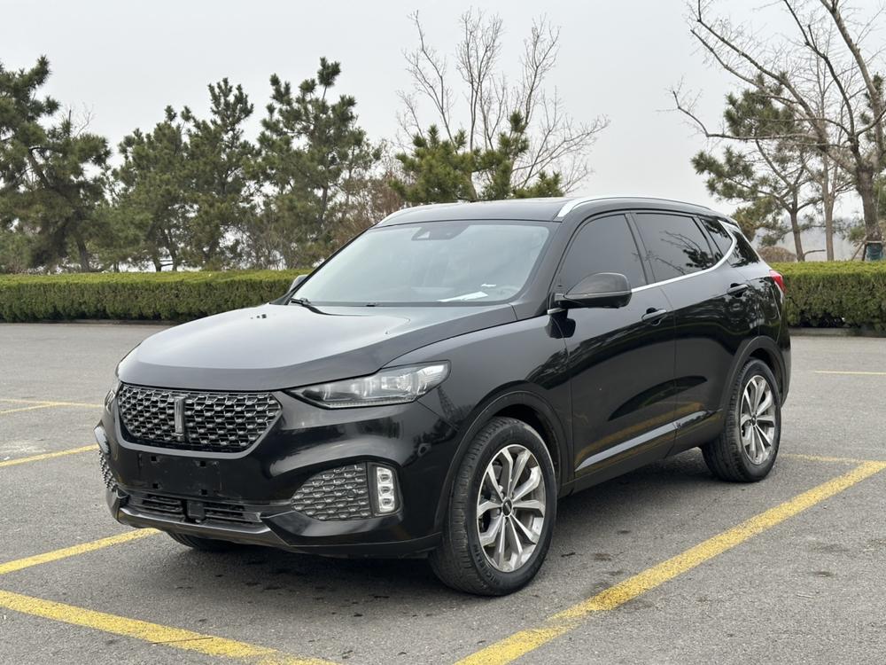Great_Wall_Motors Weipai VV6 2020 2.0T 2WD Intelligent Protection+
