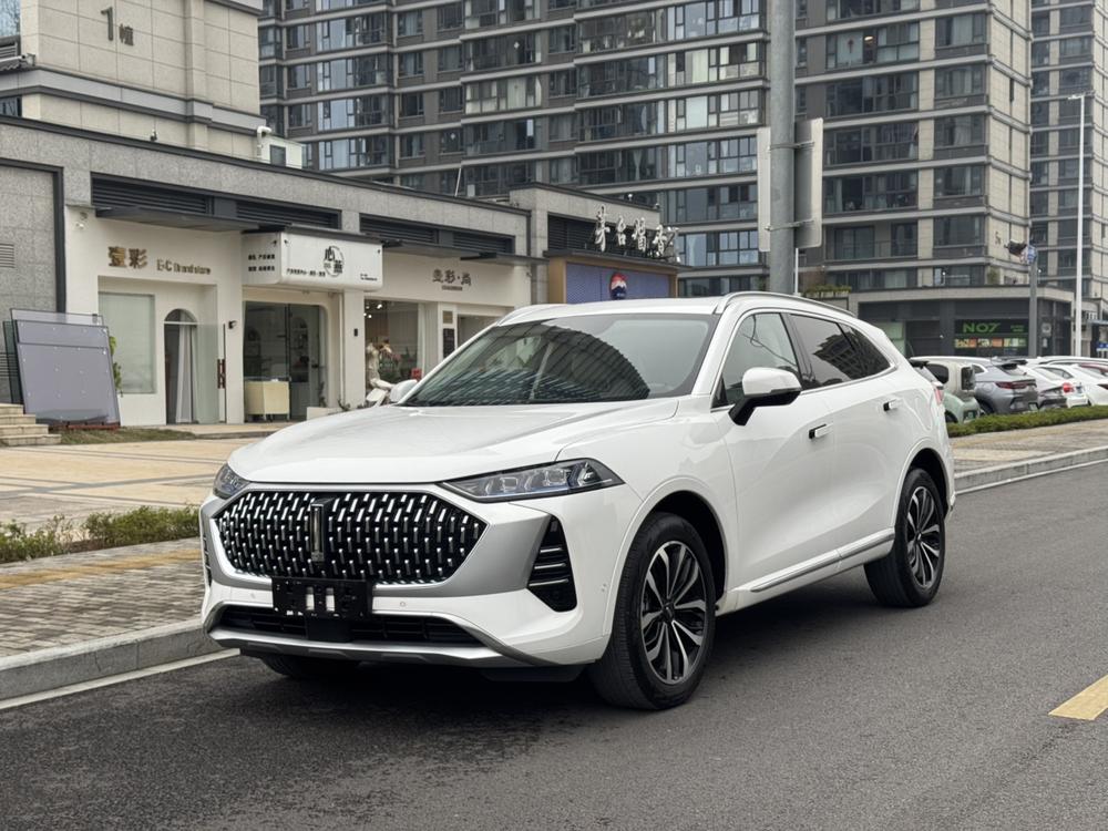 Great_Wall_Motors Mocha 2021 2.0T four-wheel drive special version