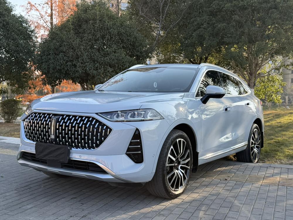 Great_Wall_Motors Mocha 2021 2.0T two-wheel drive special version