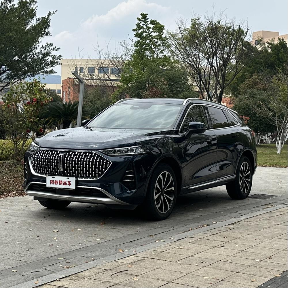 Great_Wall_Motors Mocha 2021 2.0T two-wheel drive special edition