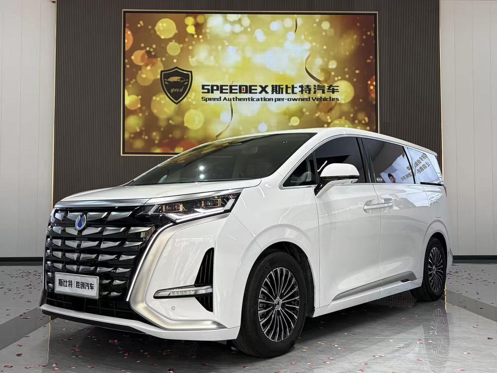 Denza_Motors Denza D9 DM 2022 970 four-wheel drive premium type