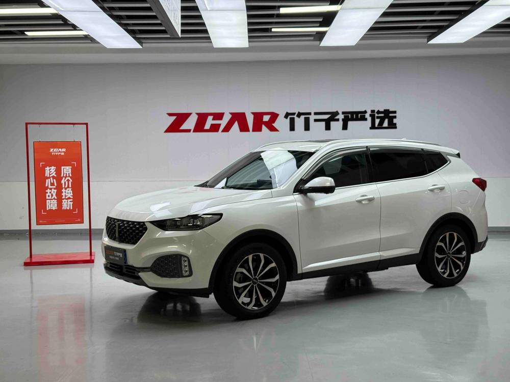 Great_Wall_Motors Wei brand VV6 2020 2.0T four-wheel drive Zhiyu+