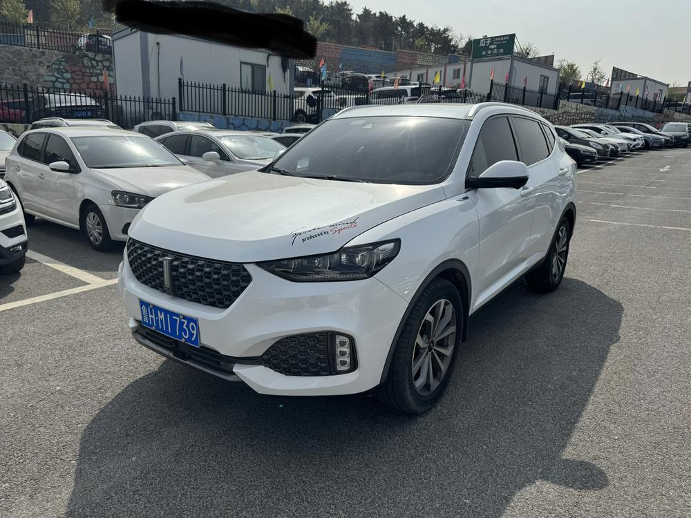 Great_Wall_Motors Wei brand VV6 2020 2.0T four-wheel drive Zhiyu+
