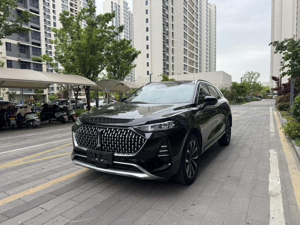 Great_Wall_Motors Mocha 2021 2.0T two-wheel drive special version