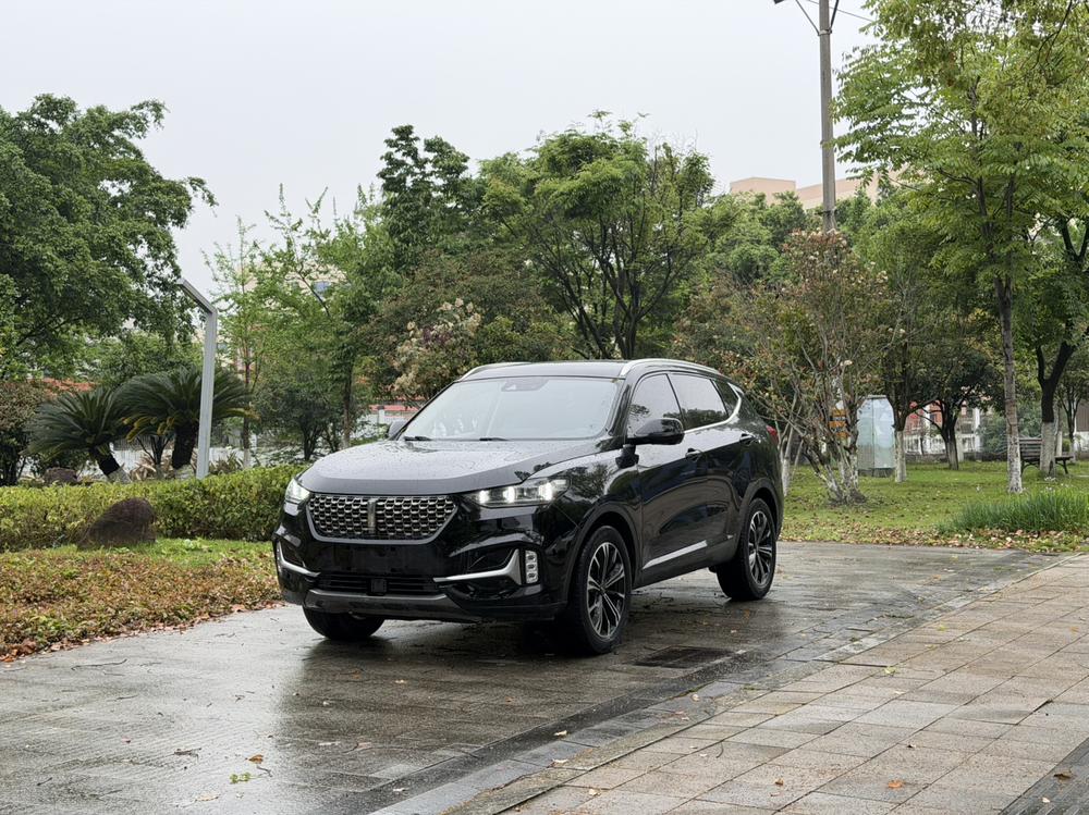 Great_Wall_Motors Weipai VV6 2021 2.0T 2WD Intelligent Protection+