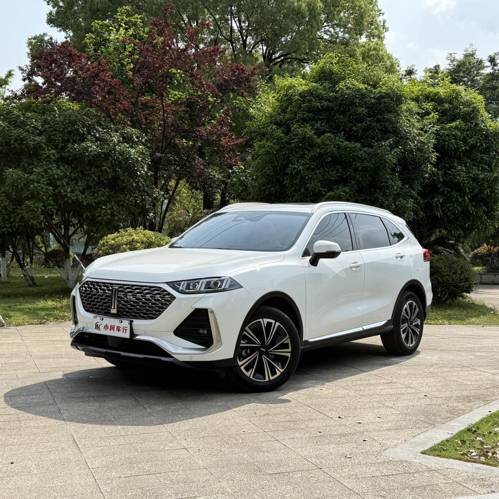 Great_Wall_Motors Latte DHT 2022 1.5T DHT Large Cup