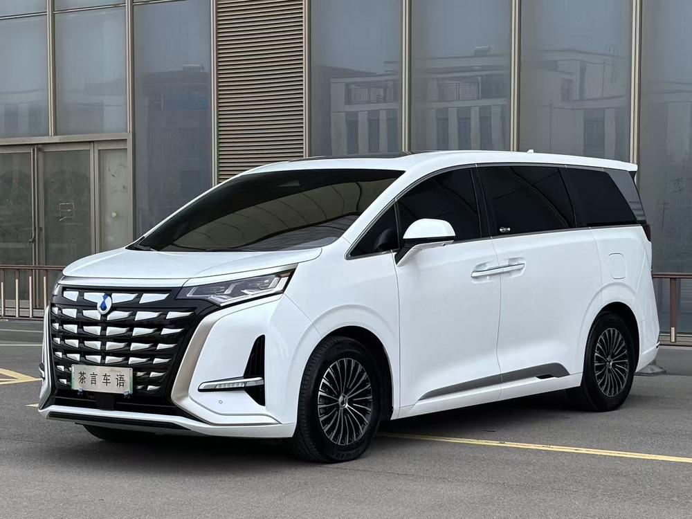 Denza_Motors Denza D9 DM 2022 945 luxury model