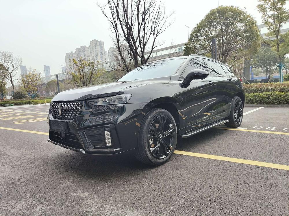 Great_Wall_Motors Weipai VV7 2021 2.0T Technology Edition