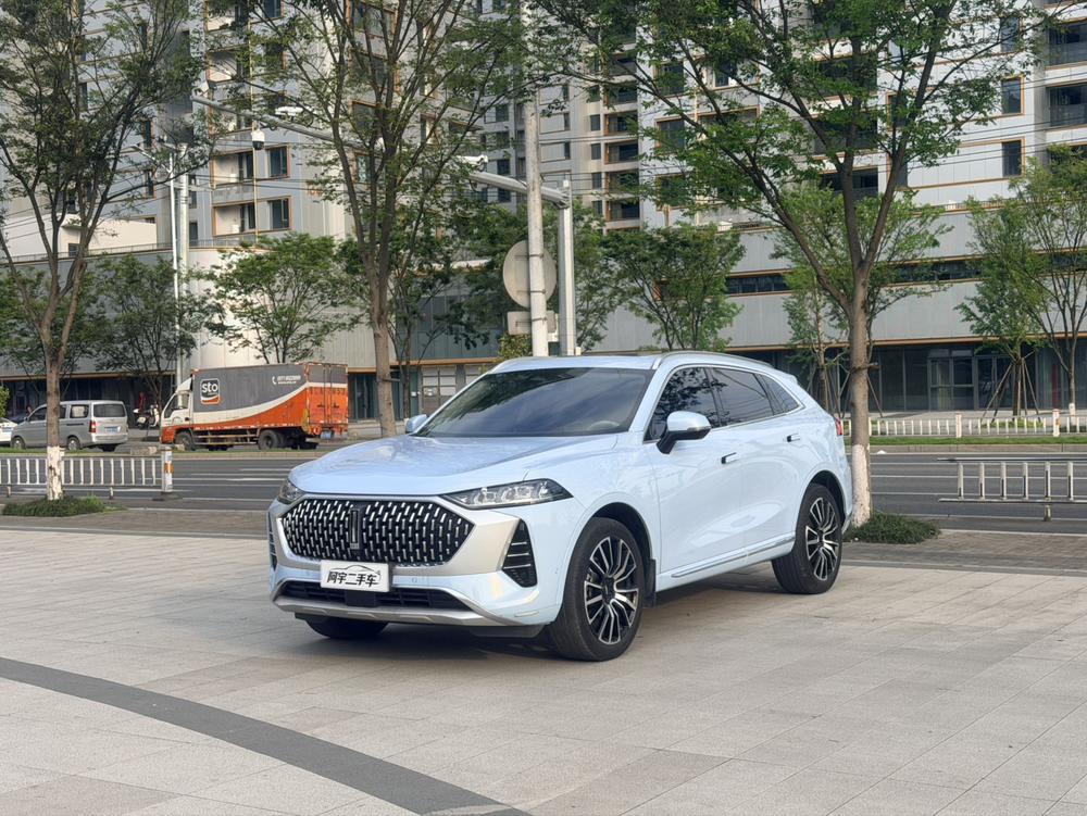 Great_Wall_Motors Mocha 2021 2.0T two-wheel drive special version