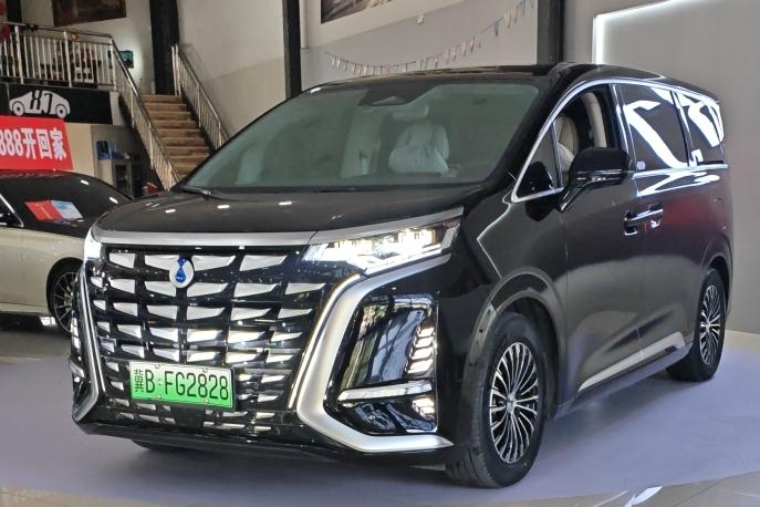 Denza_Motors Denza D9 DM 2024 980 four-wheel drive premium type