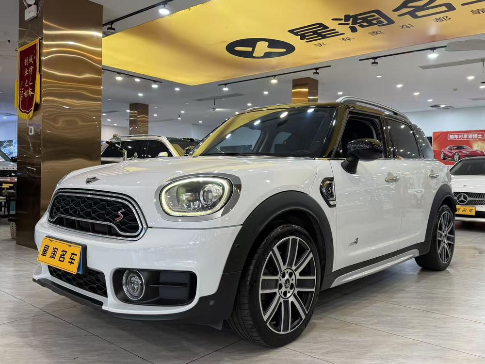 MINI MINI COUNTRYMAN 2019 2.0T COOPER S ALL4 Artist