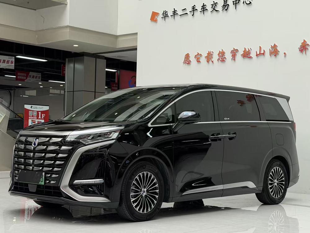Denza_Motors Denza D9 DM 2024 980 four-wheel drive premium type