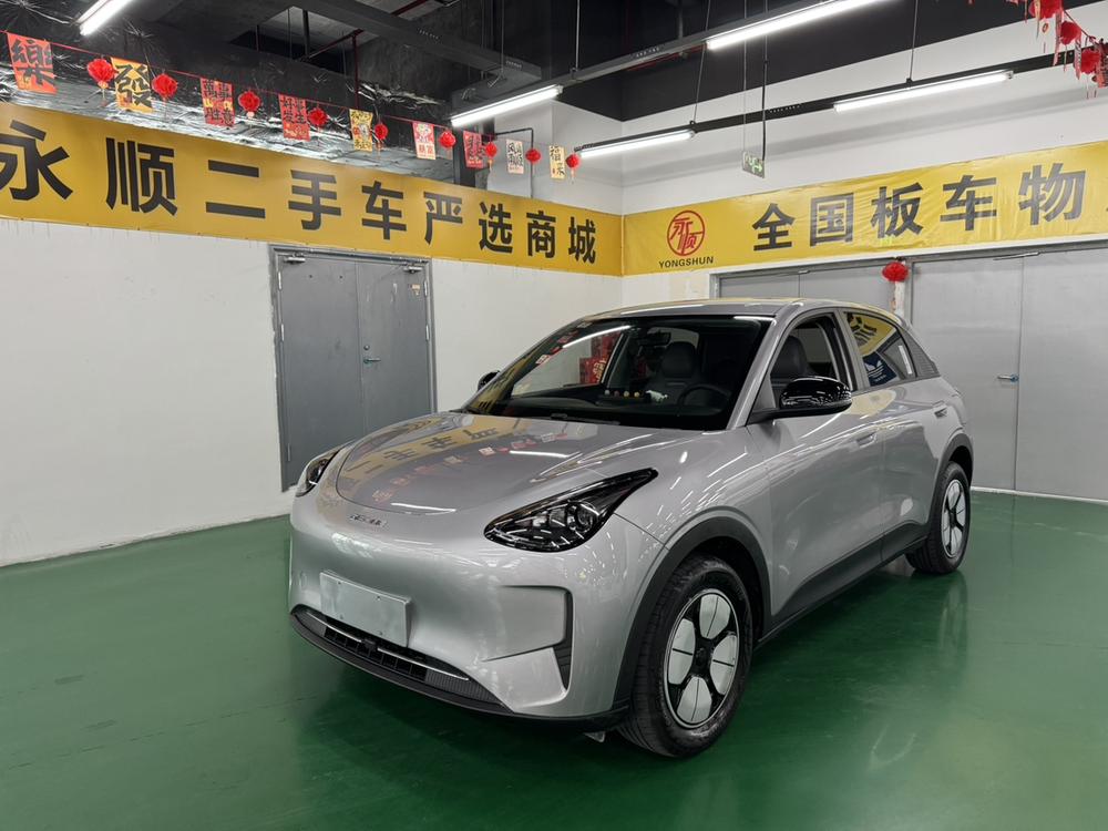 Geely Star Wishes 2025 310km Youth Edition
