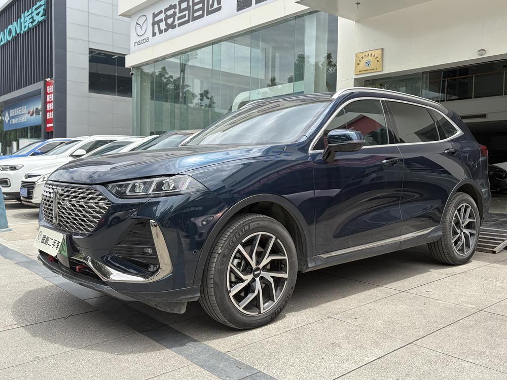Great_Wall_Motors Latte PHEV 2022 1.5T two-wheel drive super large cup