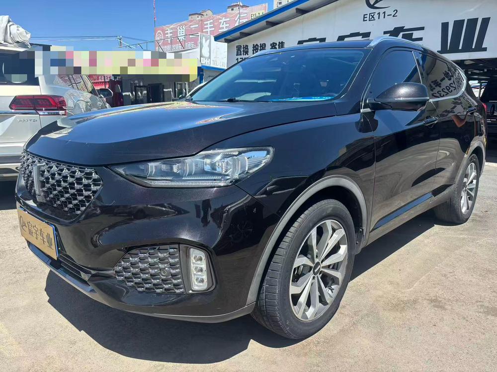 Great_Wall_Motors Wei brand VV6 2020 2.0T four-wheel drive Zhiyu+