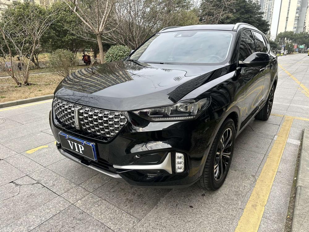 Great_Wall_Motors Wei brand VV6 2020 2.0T two-wheel drive Zhiyue+