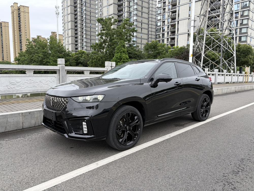Great_Wall_Motors Wei brand VV7 2020 2.0T flagship model