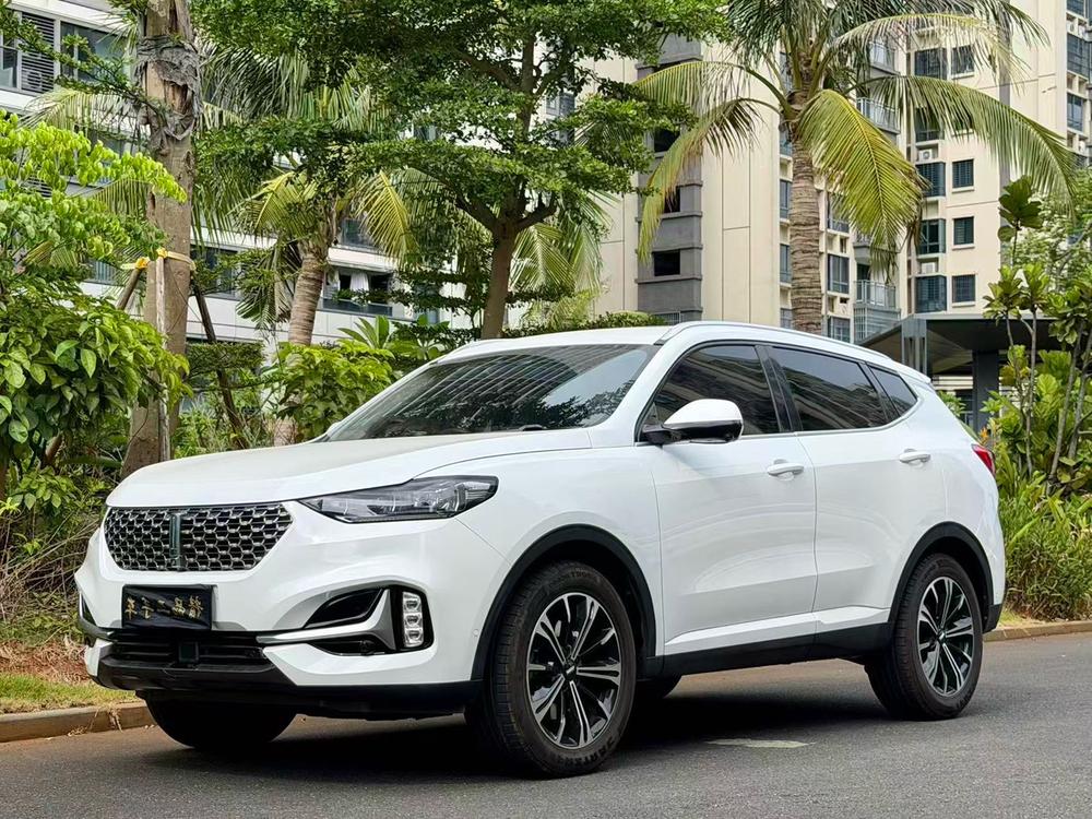 Great_Wall_Motors Weipai VV6 2021 2.0T 2WD Smart Enjoy+