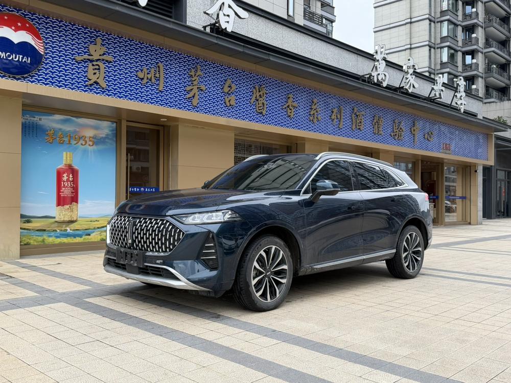 Great_Wall_Motors Mocha 2021 2.0T two-wheel drive special version