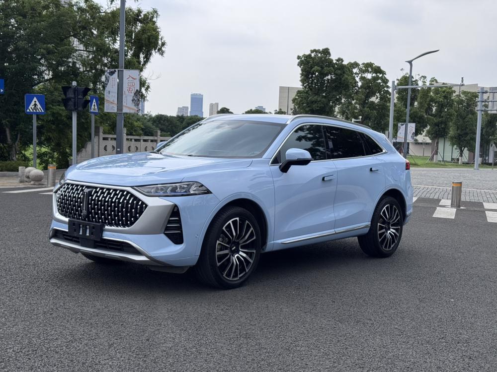 Great_Wall_Motors Mocha 2021 2.0T four-wheel drive special version