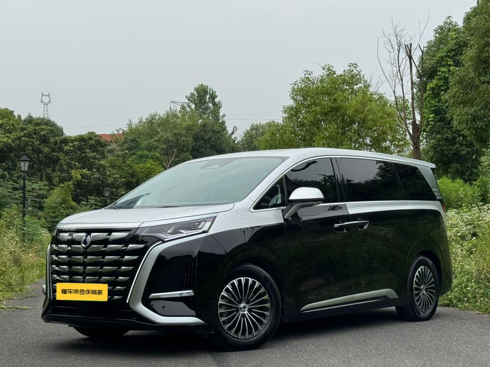 Denza_Motors Denza D9 DM 2024 980 four-wheel drive flagship model
