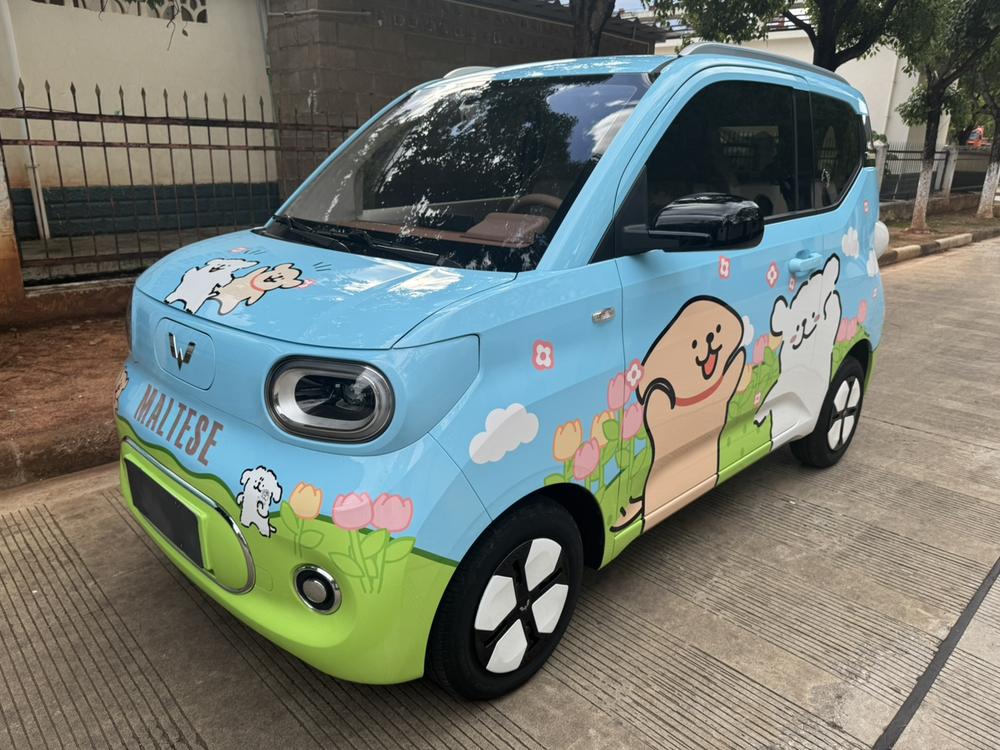 Wuling Wuling Hongguang MINIEV 2024 170km lithium iron phosphate