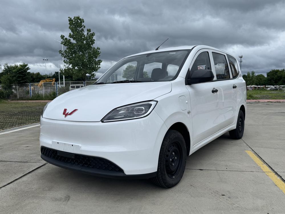 Wuling Wuling Hongguang pure electric version 2024 model 300KM standard type