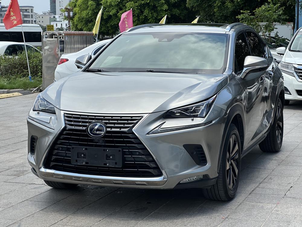 Lexus Lexus NX 2020 300h AWD Front Edition National V