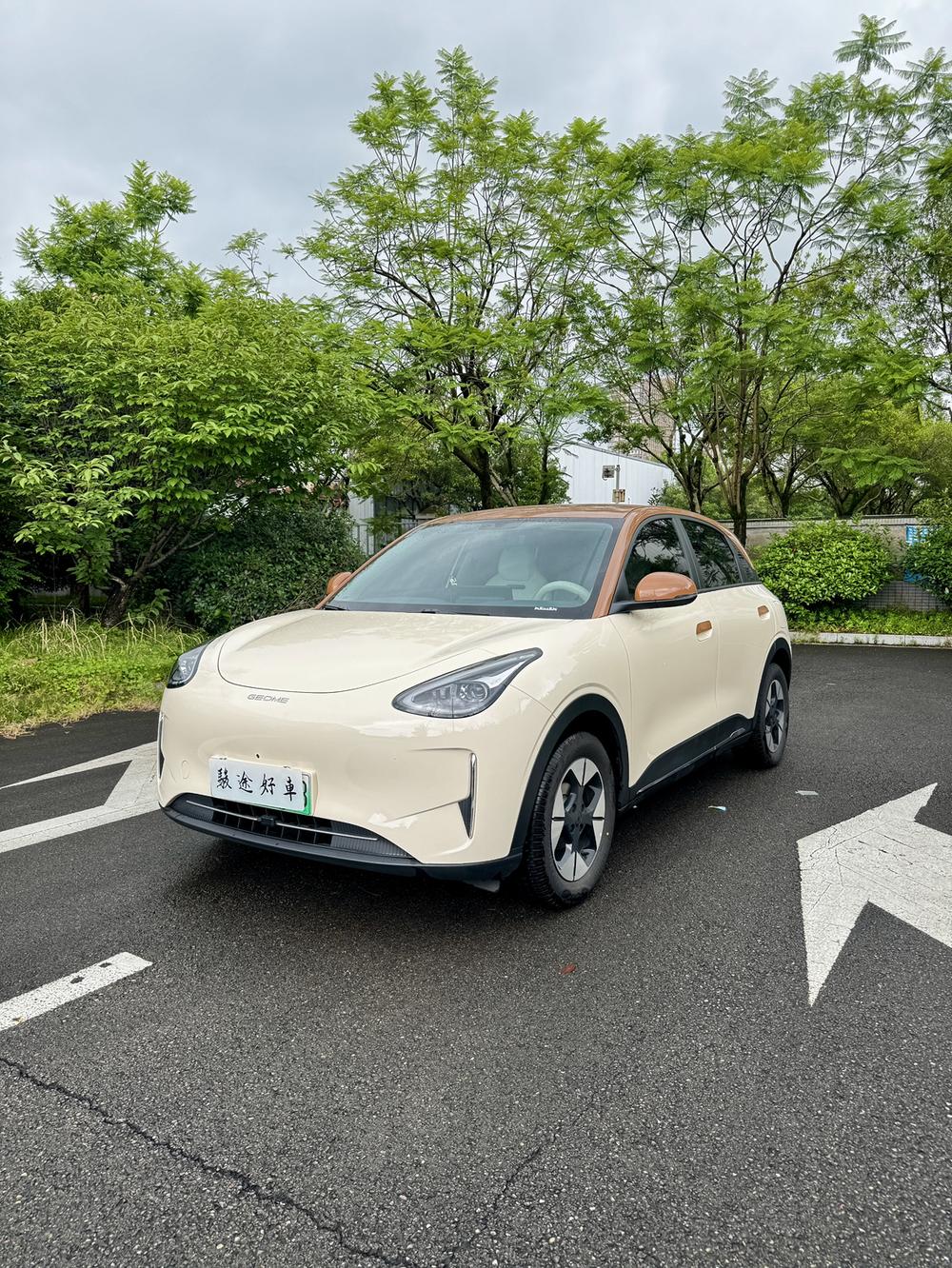 Geely Star Wishes 2025 310km Dream Edition