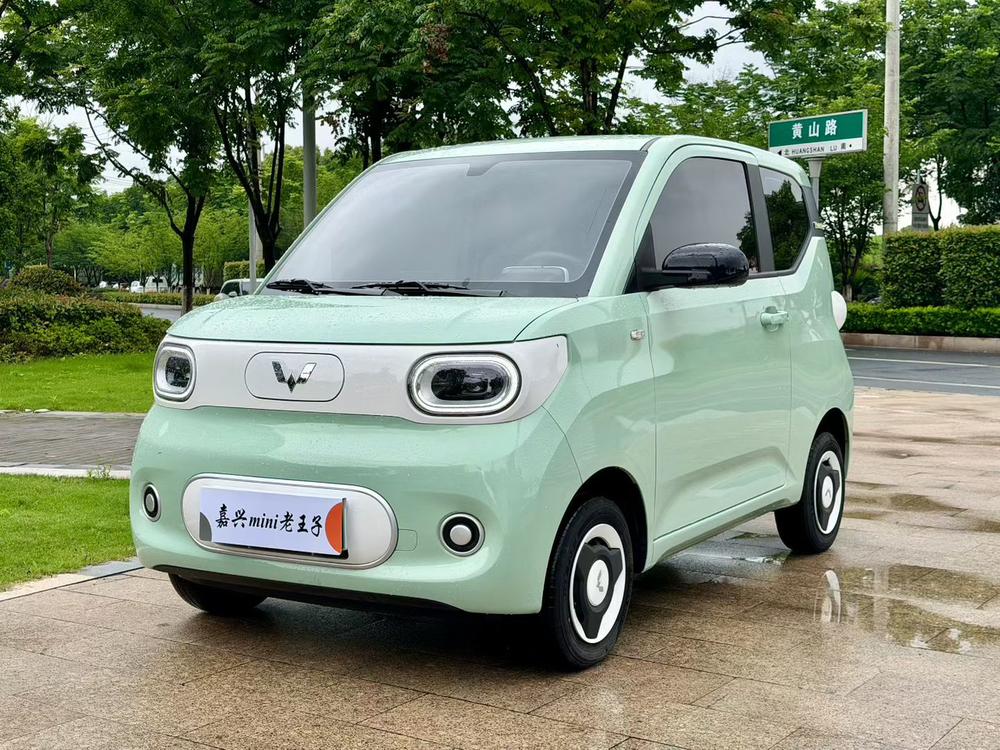 Wuling Wuling Hongguang MINIEV 2024 215km Youth Edition Lithium Iron Phosphate