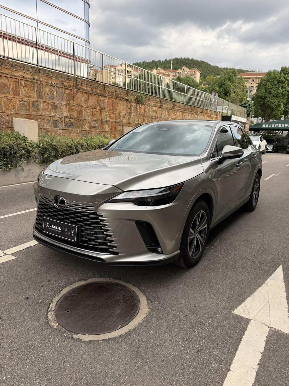 Lexus Lexus RX 2025 300 four-wheel drive version