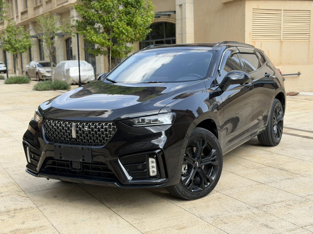 Great_Wall_Motors Wei brand VV7 2020 2.0T flagship model