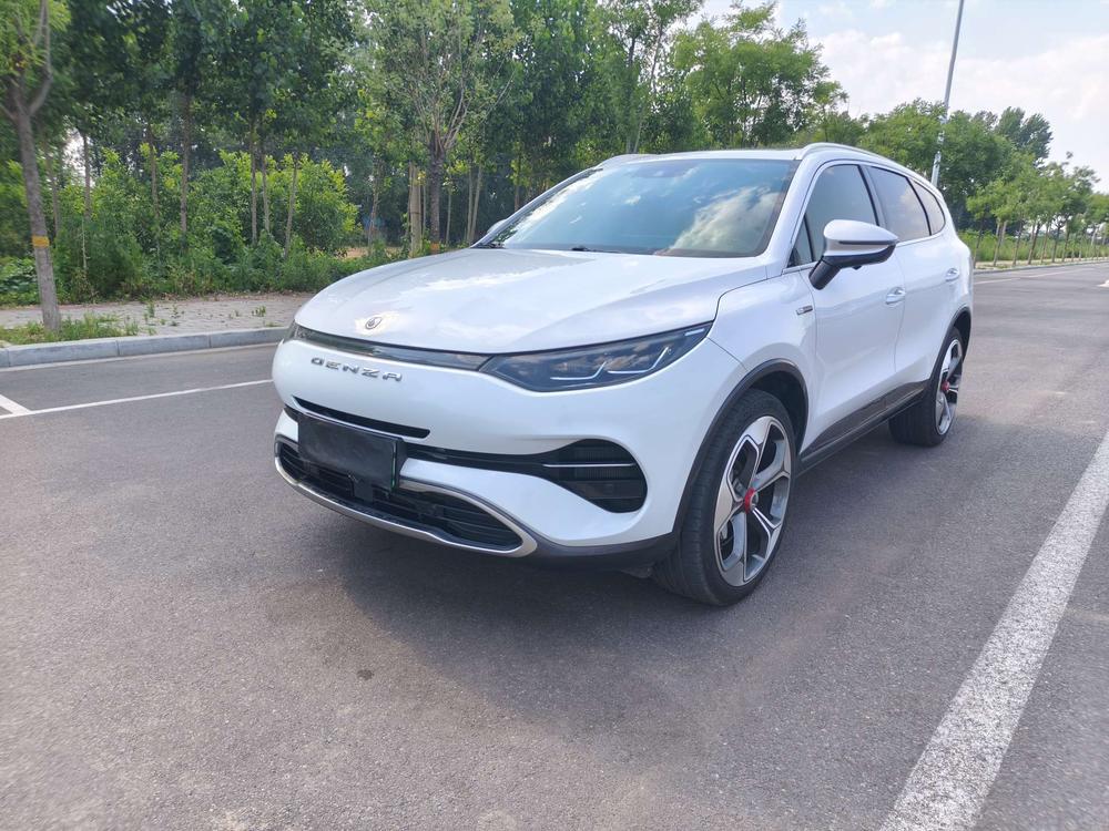 Denza_Motors Denza X PHEV 2020 2.0T flagship version