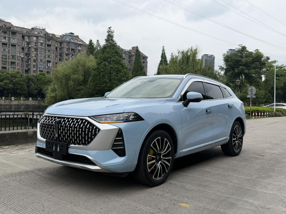 Great_Wall_Motors Mocha 2021 2.0T four-wheel drive special version