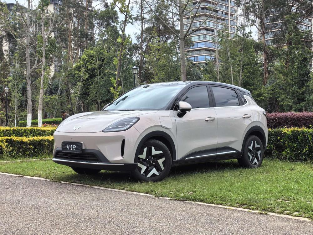 Wuling Bingo S 2025 430km flagship model