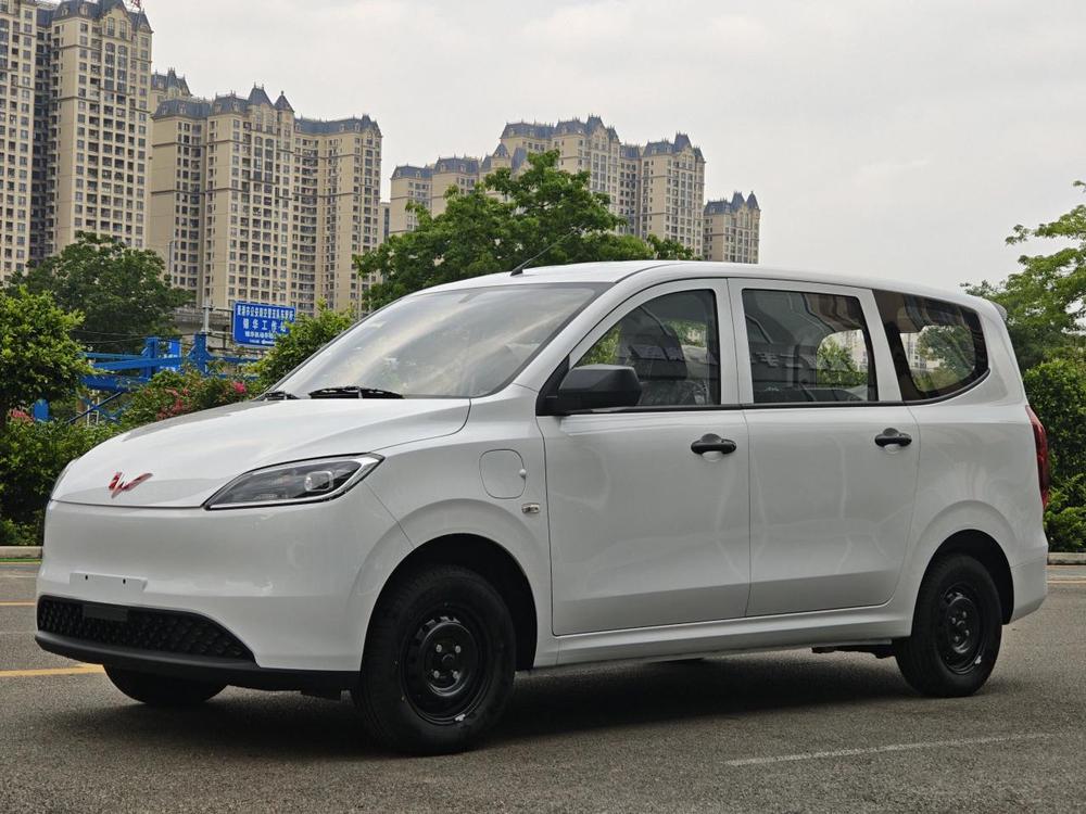 Wuling Wuling Hongguang pure electric version 2024 model 300KM practical type