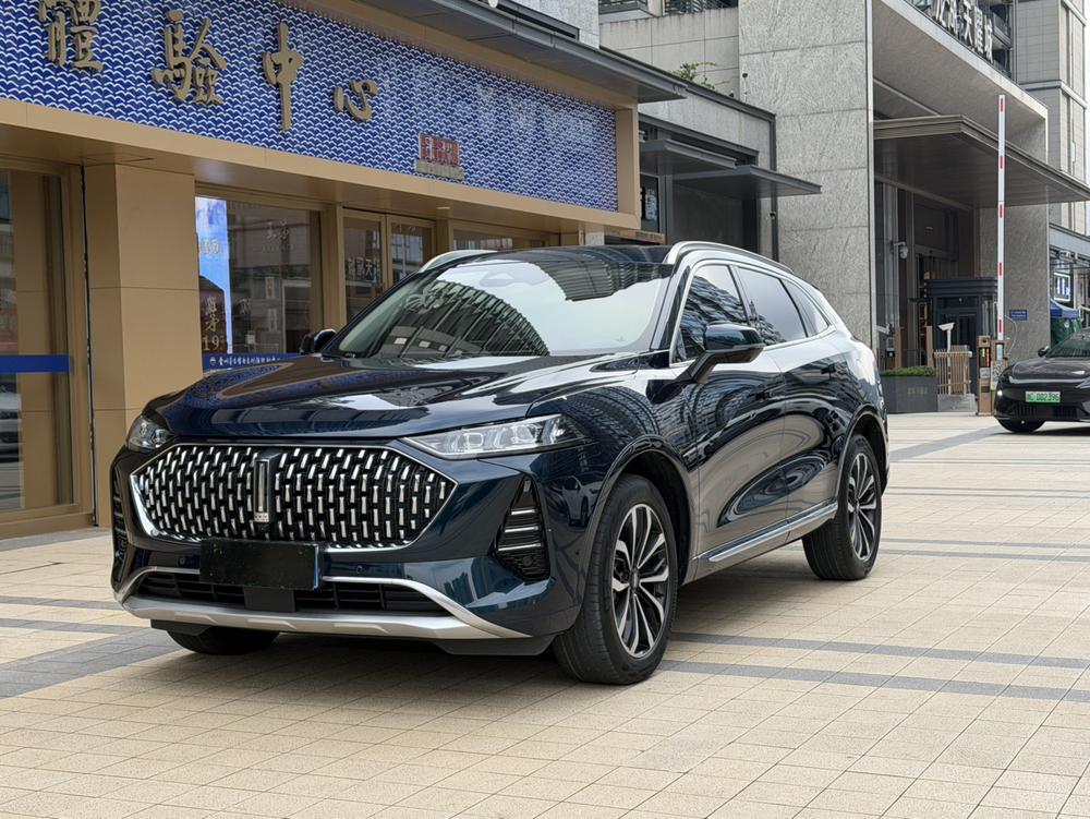 Great_Wall_Motors Mocha 2021 2.0T four-wheel drive special version