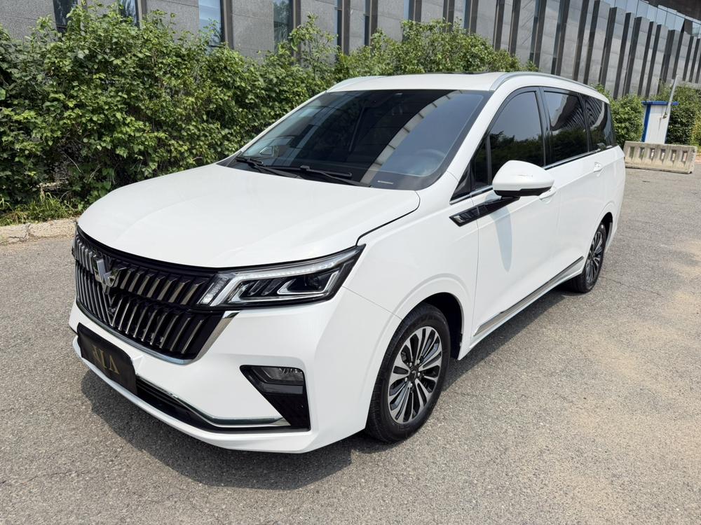 Wuling Wuling Jiachen 2022 1.5T CVT exclusive flagship model