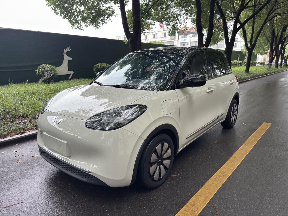 Wuling Wuling Bingo 2023 model 333KM Lingxi Internet model