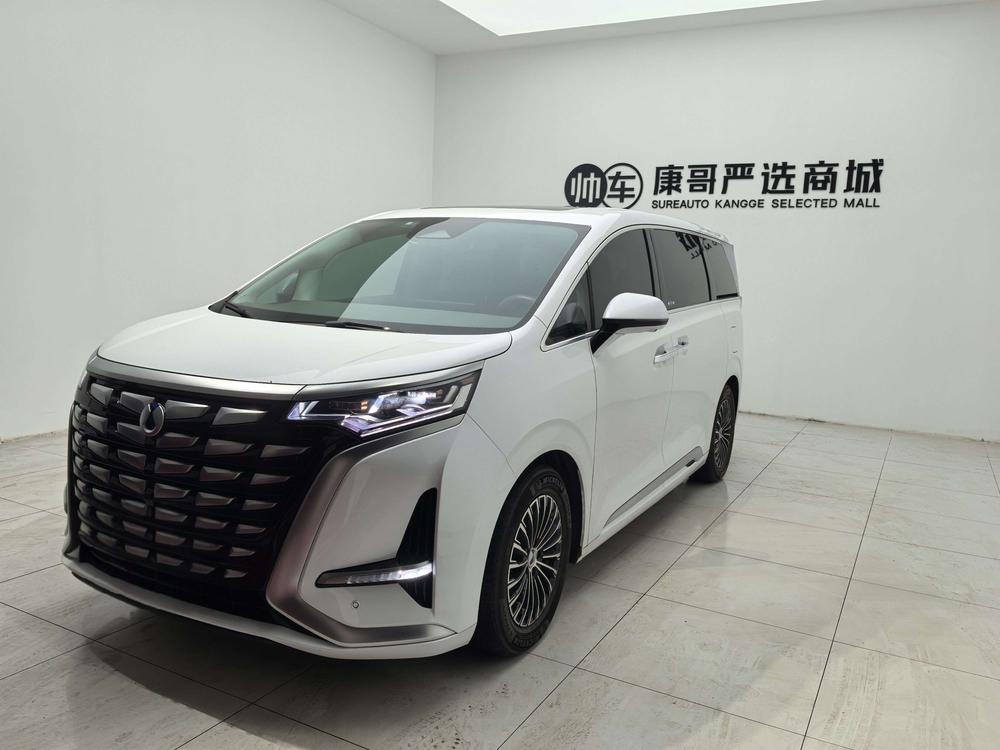Denza_Motors Denza D9 DM 2023 model 965 exclusive model
