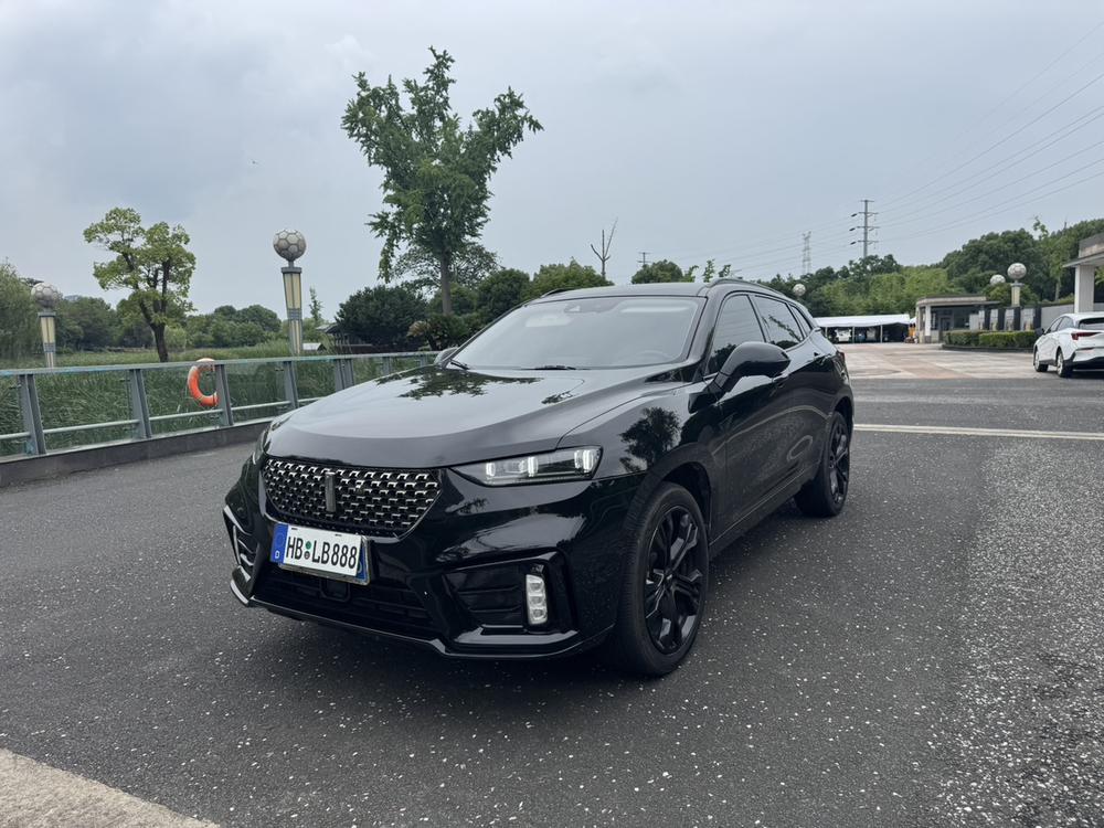 Great_Wall_Motors Wei brand VV7 2020 2.0T flagship model