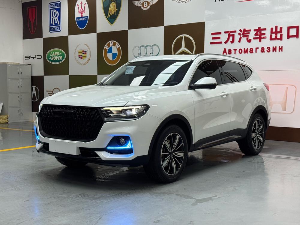 Great_Wall_Motors Haval H6 2023 National Fashion Edition 1.5T Automatic Champion Edition