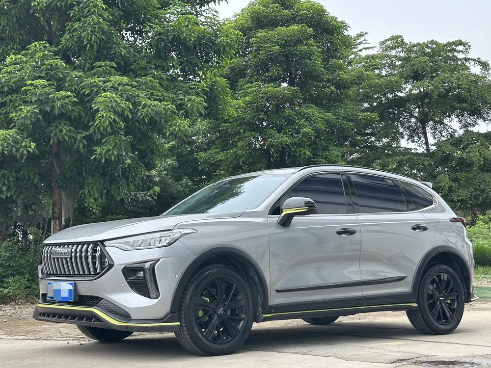 Great_Wall_Motors Haval Red Rabbit 2021 Engine Edition 1.5T Platinum Rabbit