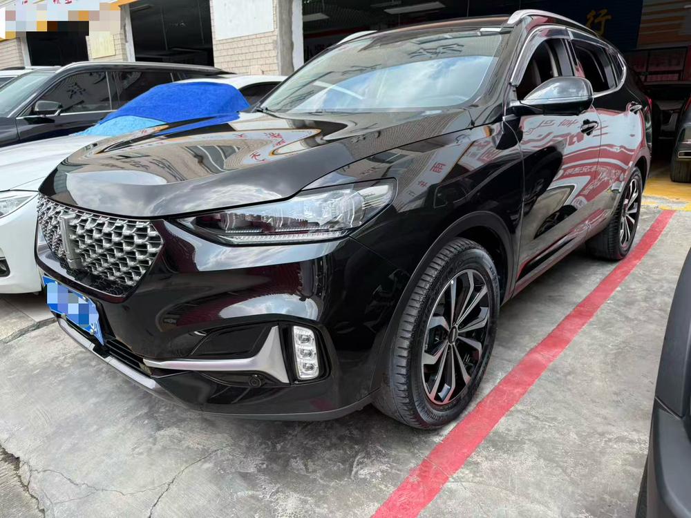Great_Wall_Motors Weipai VV6 2021 2.0T 2WD Intelligent Protection+