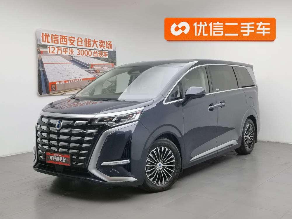 Denza_Motors Denza D9 DM 2024 980 four-wheel drive premium type