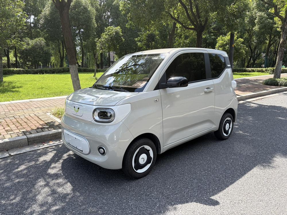 Wuling Wuling Hongguang MINIEV 2024 215km Youth Edition Lithium Iron Phosphate