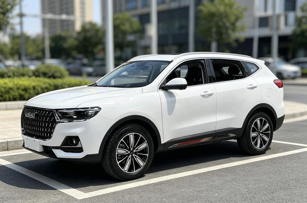 Great_Wall_Motors Haval H6 2023 National Fashion Edition 1.5T Automatic Champion Edition