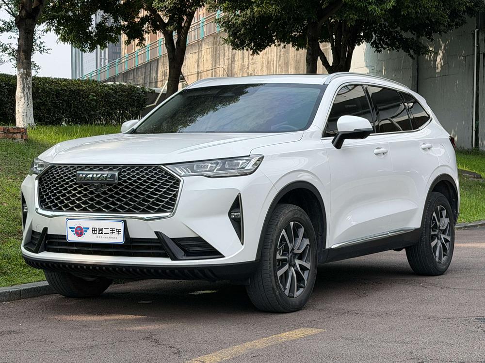 Great_Wall_Motors Haval H6 2024 1.5T automatic two-wheel drive classic version